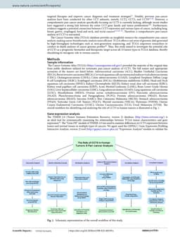 Pan-cancer analysis reveals immunological and prognostic significance of CCT5 in human tumors pg 2
