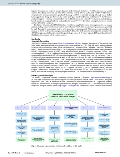 Pan-cancer analysis reveals immunological and prognostic significance of CCT5 in human tumors pg 2