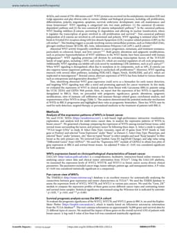 Comprehensive bioinformatics analysis reveals prognostic significance and immunological roles of WNT gene family in breast cancer pg 2